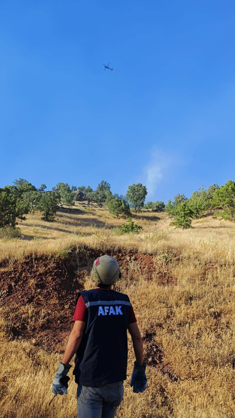 Adıyaman'daki yangınlarda 14 hektar alan zarar gördü - Resim: 5